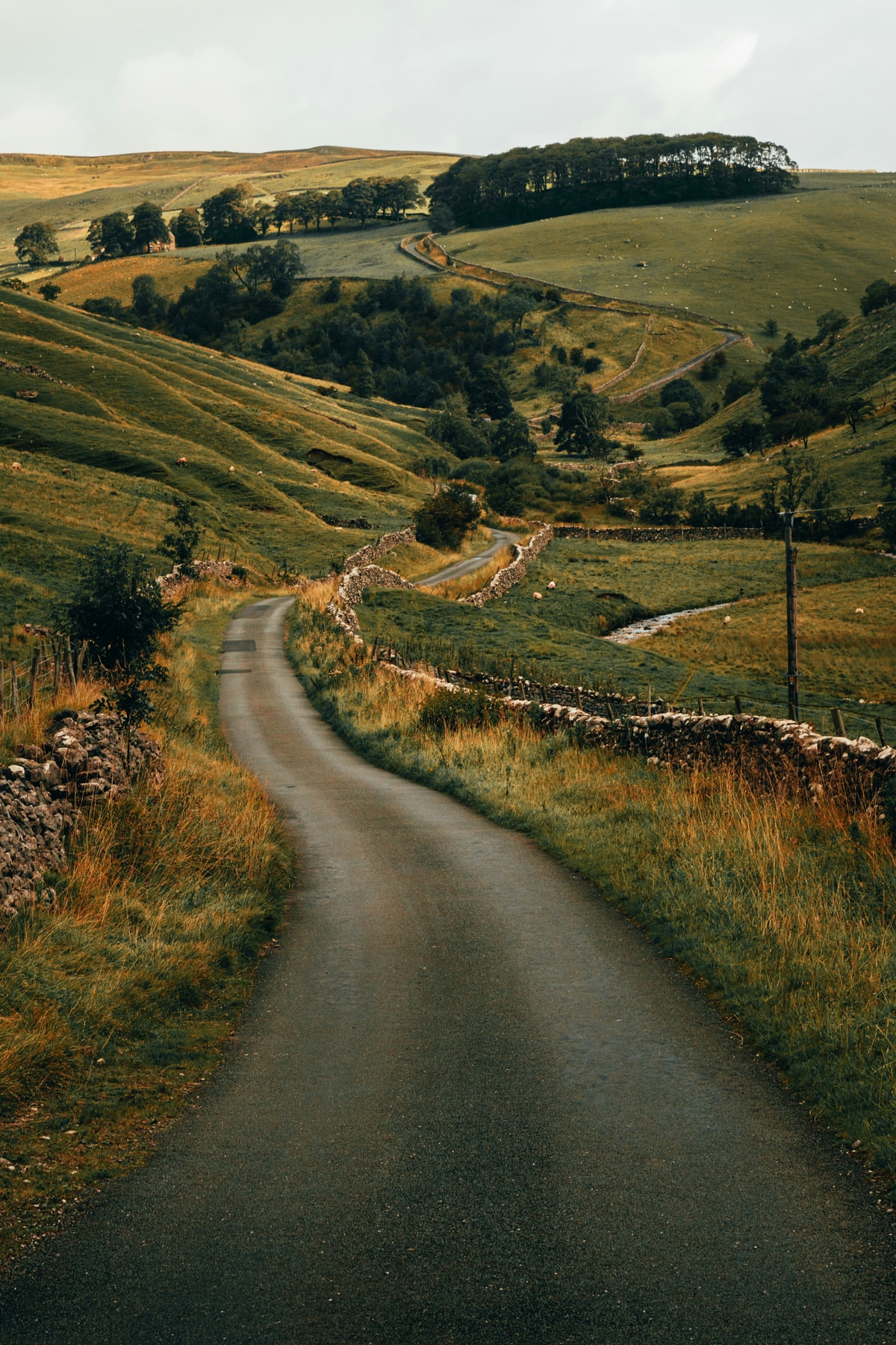 Day 3: Big Day Out: Skipton to York